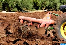 Campagne agricole 2020/2021: Un programme d’assolement sur 5,8 millions Ha des cultures d’automne (détail)