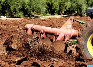 Campagne agricole 2020/2021: Un programme d’assolement sur 5,8 millions Ha des cultures d’automne (détail)