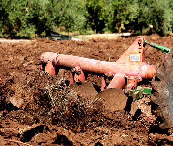 Campagne agricole 2020/2021: Un programme d’assolement sur 5,8 millions Ha des cultures d’automne (détail)