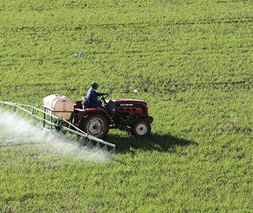 Perspectives prometteuses de la production arboricole d’automne 2020 (détail)