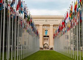 Le Maroc élu au Comité des Nations Unies contre la Torture