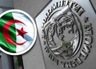 L’économie algérienne au bord du gouffre.. le FMI « inquiet »