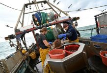 Une année 2022 à près de 10 MMDH pour la pêche marocaine