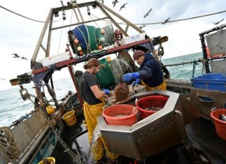 Une année 2022 à près de 10 MMDH pour la pêche marocaine