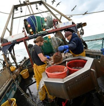 Vers un statut social particulier pour les marins pêcheurs marocains