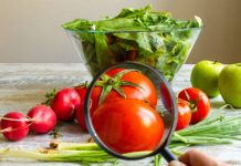 Enquête : Les Marocains en quête de produits alimentaires de qualité et de sécurité alimentaire