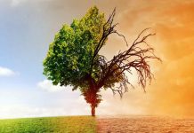 Le Maroc dans le top 5 mondial du « Climate Change Performance Index 2022 »