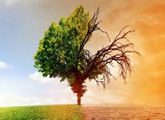 Le Maroc dans le top 5 mondial du « Climate Change Performance Index 2022 »