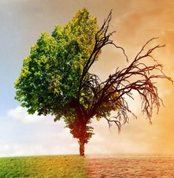 Le Maroc dans le top 5 mondial du « Climate Change Performance Index 2022 »