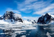 L’OMM : nouveau record de chaleur de 38 ⁰C dans l’Arctique