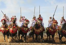 Le Salon du Cheval d’El Jadida 2026 réunira science et mémoire équestre Le Salon du Cheval d'El Jadida 2026 réunira science et mémoire équestre