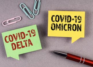 Étude. Omicron peut être un booster contre Delta