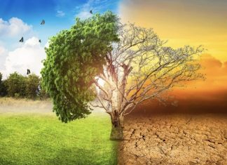 Changements climatiques. L’OMM félicite le Maroc pour son leadership