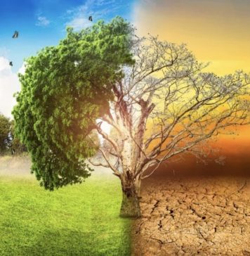 Changements climatiques. L’OMM félicite le Maroc pour son leadership