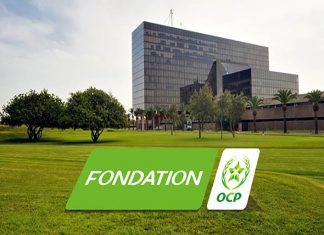 Madagascar. La Fondation OCP soutient la semaine de l’environnement