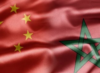 Pourquoi le mandarin gagne du terrain au Maroc