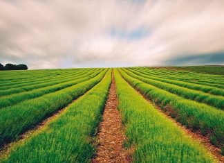 Akhannouch : Le Plan Maroc Vert atteint les objectifs escomptés