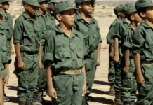 L’ONG américaine « Teach the Children International » dénonce l’utilisation des enfants-soldats dans les camps de Tindouf