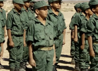 L’ONG américaine « Teach the Children International » dénonce l’utilisation des enfants-soldats dans les camps de Tindouf