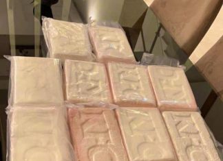 Trafic de drogue. La BNPJ démantèle un réseau criminel, plus de 8,8 tonnes saisies (Photos)