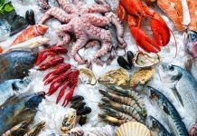 Exportations des produits de la mer : un chiffre d’affaires record de 24,2 MMDH en 2021