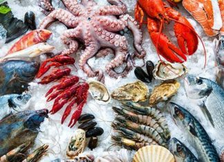 Exportations des produits de la mer : un chiffre d’affaires record de 24,2 MMDH en 2021