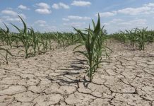 Pénurie d’eau. Aux grands problèmes, les grands moyens