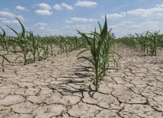 Pénurie d’eau. Aux grands problèmes, les grands moyens