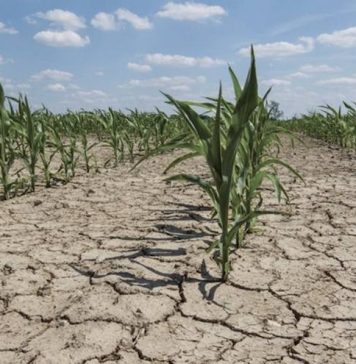 Pénurie d’eau. Aux grands problèmes, les grands moyens