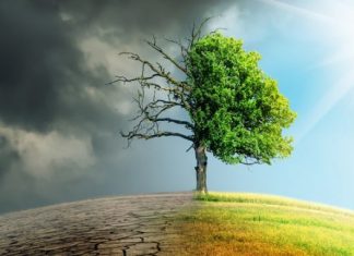 Le Maroc, un « leader mondial » pour son action contre les changements climatiques