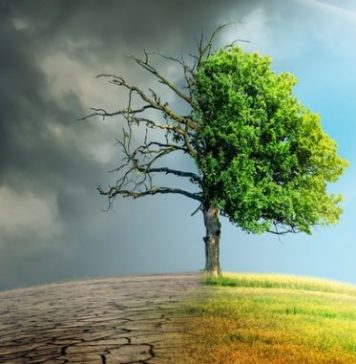 Le Maroc, un « leader mondial » pour son action contre les changements climatiques