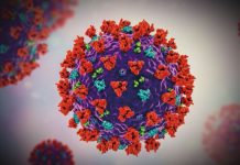 CDC. La variante BA.2 représente plus d’un tiers des nouveaux cas aux Etats-Unis