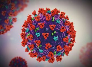 CDC. La variante BA.2 représente plus d’un tiers des nouveaux cas aux Etats-Unis