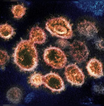 L’épidémie de Covid poursuit son déclin au Maroc