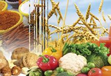 Les produits alimentaires marocains signent une 1ère historique