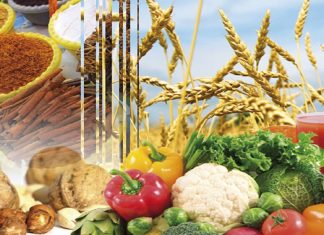 Agroalimentaire. Le système d’approvisionnement marocain est efficace et résilient