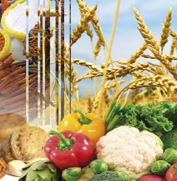 Agroalimentaire. Le système d’approvisionnement marocain est efficace et résilient