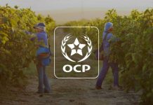 OCP. Les principaux résultats du programme des plateformes de démonstration Al Moutmir