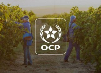 OCP. Les principaux résultats du programme des plateformes de démonstration Al Moutmir