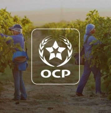 OCP. Les principaux résultats du programme des plateformes de démonstration Al Moutmir