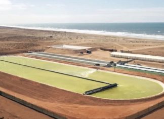 Construction d’une ferme de captage et stockage de carbone dans le Sahara marocain