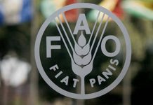 HCP et FAO lancent la Table marocaine de composition des aliments HCP et FAO lancent la Table marocaine de composition des aliments