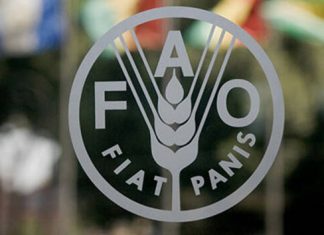 Indice FAO : nouvelle augmentation des prix alimentaires à l’échelle mondiale