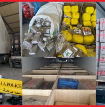 Trafic de drogues : Très grosse prise à Tanger, 31 tonnes de chira saisies
