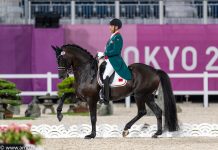 Le Maroc sera présent à la Grande Finale de la Coupe du Monde Dressage