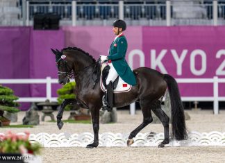 Equitation. Yessin Rahmouni portera les couleurs du Maroc à la Coupe du Monde 2022 en dressage