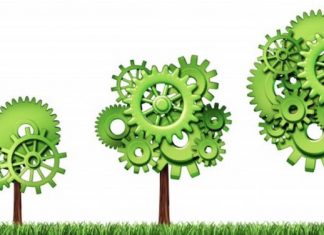 Les lauréats du Concours « Green Start-up » dévoilés