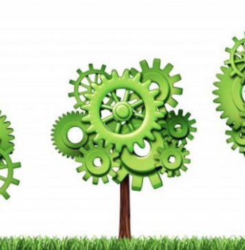 Les lauréats du Concours « Green Start-up » dévoilés