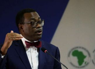 Énergies renouvelables : le président de la BAD salue l’engagement « remarquable » du Maroc