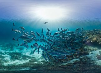 Économie bleue : La Banque mondiale approuve un prêt de 350 M$ pour le Maroc